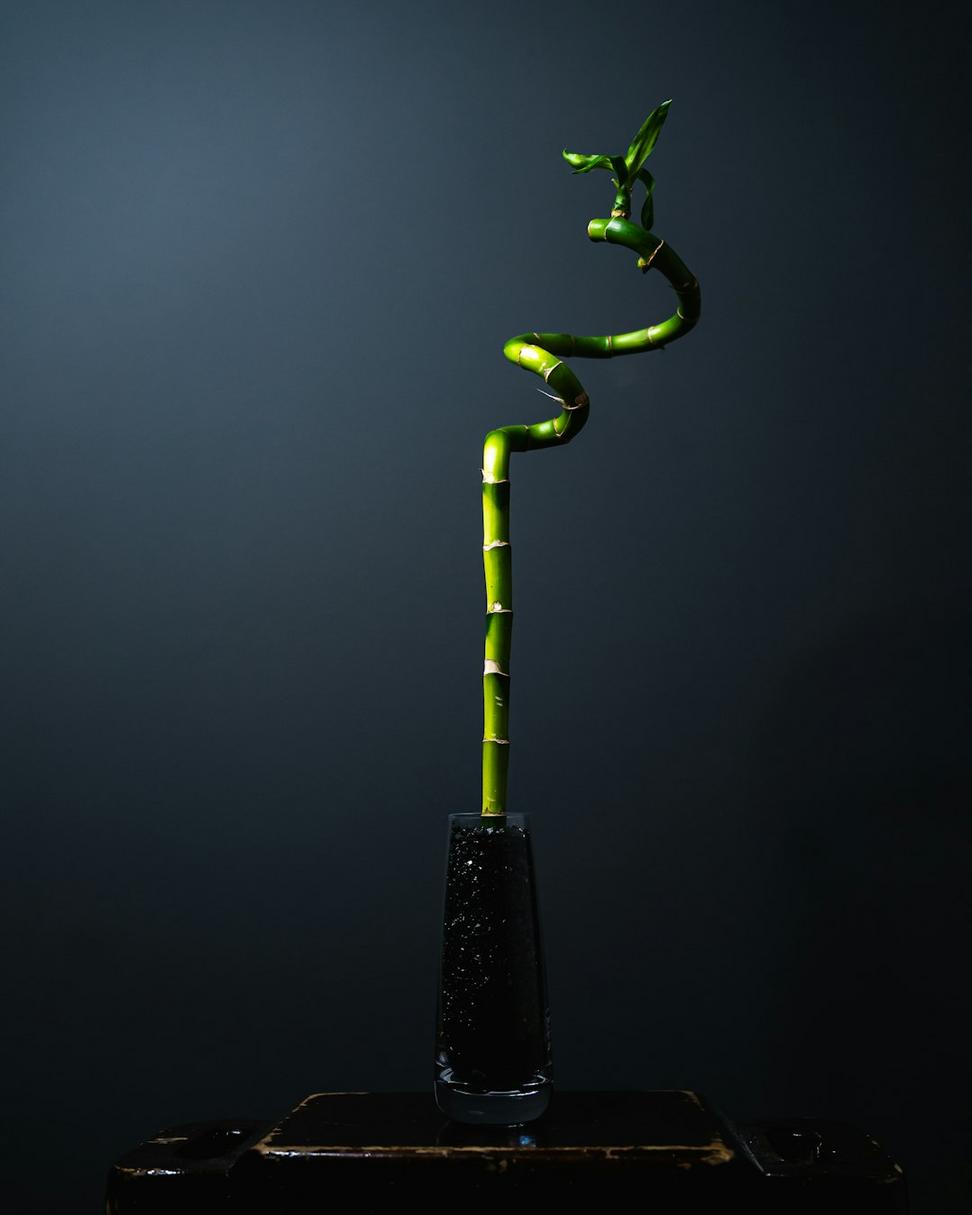 Sustainability Award